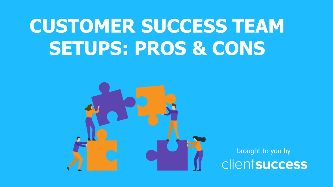 Customer Success Team Setups: Pros & Cons